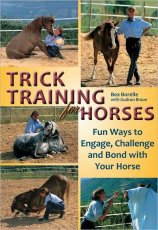 Trick Training For Horses